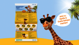 Aufklappbares Mailing für Apollo Kindersonnenbrillen: Giraffe mit Sonnenbrille als Keyvisual