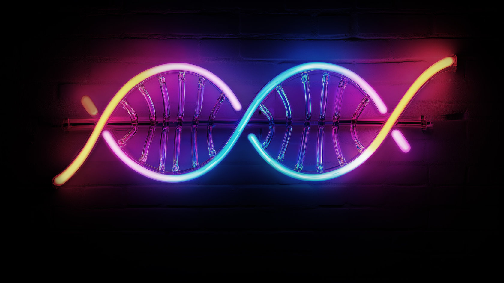 Bloom_Strategy_Header.jpg