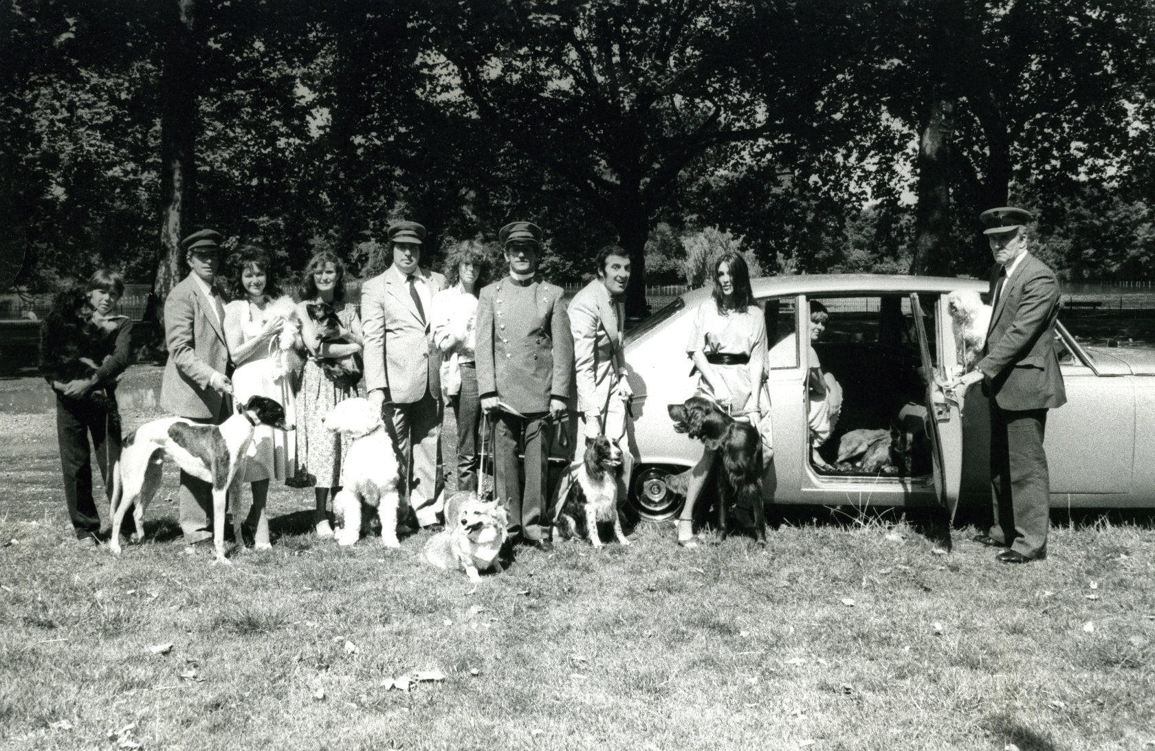 Photo Archiv Schweitzer: Limousine, davor Chauffeure, Frauen und Hunde